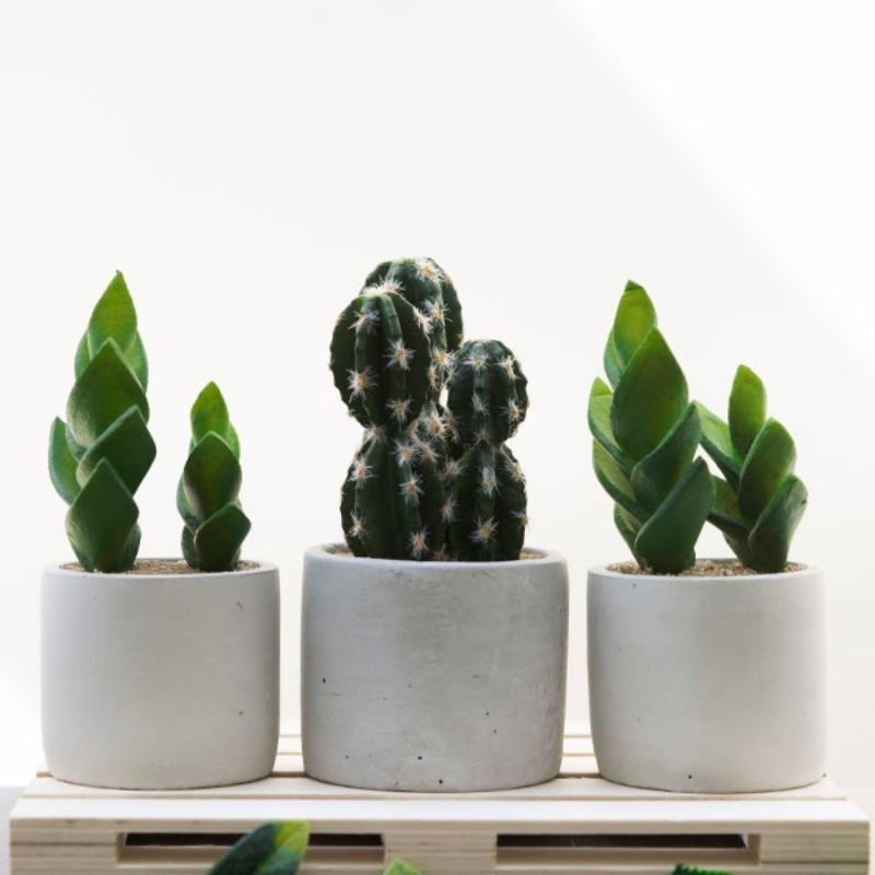 ibergarden-artificial-plants-02