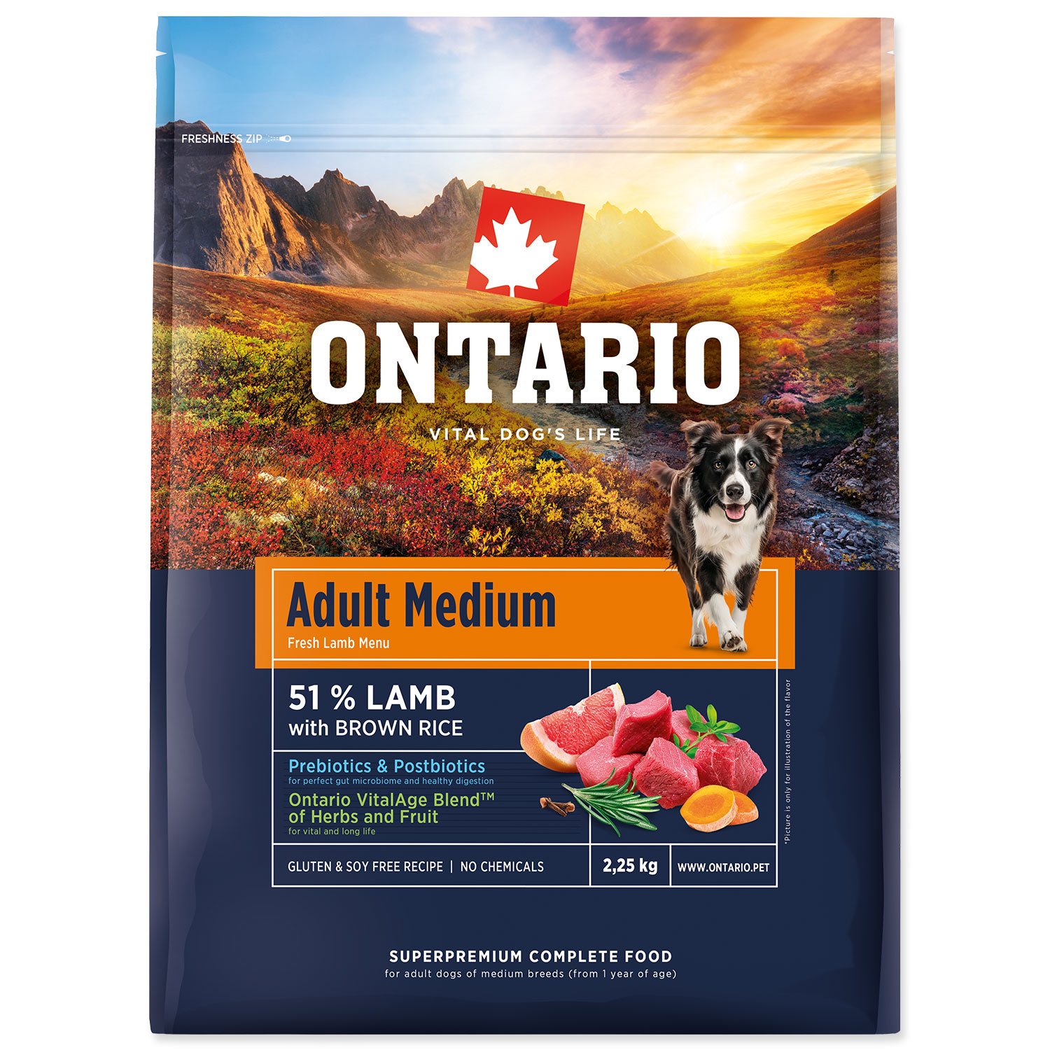 Thức ăn cho chó Ontario Adult Medium thịt cừu và gạo lứt 2,25kg